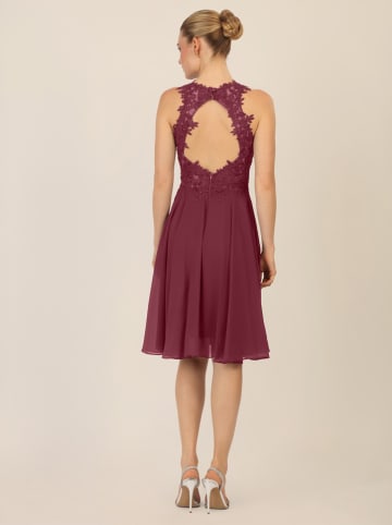 APART Kleid in Bordeaux