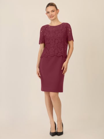 APART Kleid in Bordeaux