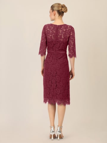 APART Kleid in Bordeaux