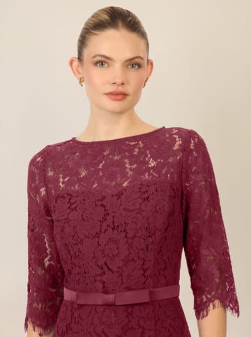 APART Kleid in Bordeaux