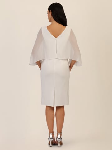 APART Kleid in Creme