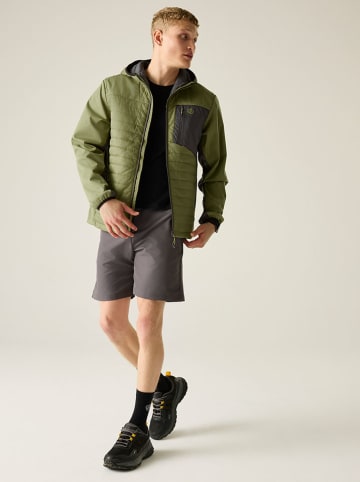 Dare 2b Softshelljacke "Mountaineer" in Khaki