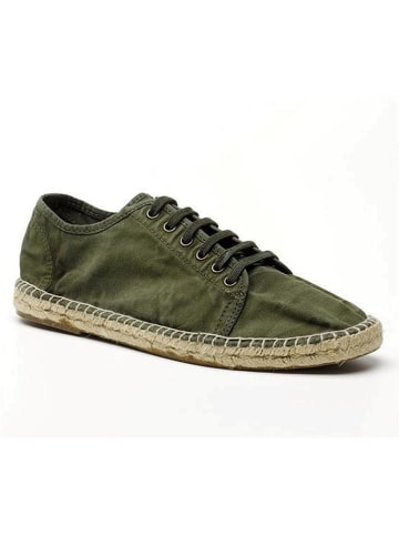 natural world Sneakers in Khaki