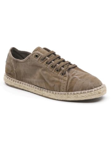 natural world Sneakers in Braun
