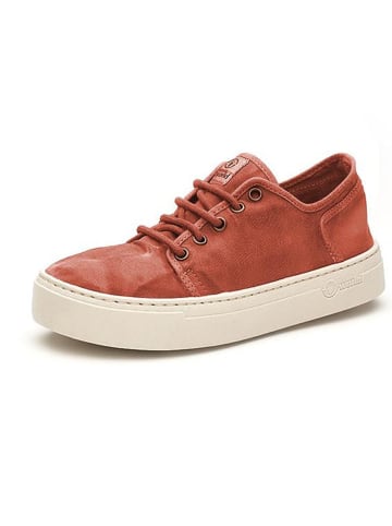 natural world Sneakers in Rot