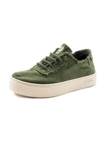 natural world Sneakers in Khaki