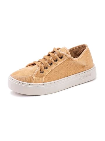 natural world Sneakersy w kolorze żółtym