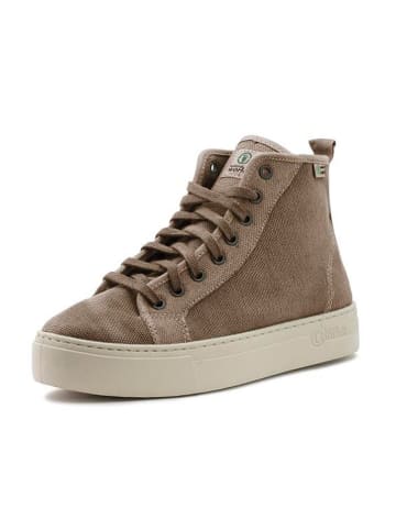 natural world Sneakersy w kolorze beżowym