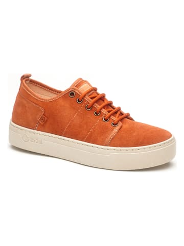 natural world Sneakers in Orange