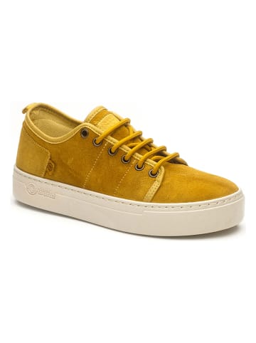 natural world Sneakers in Gelb