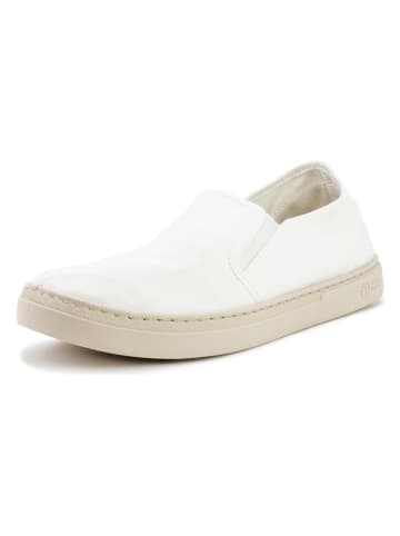natural world Slipper in Weiß