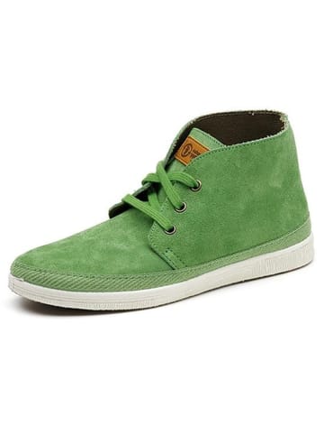 natural world Sneakersy w kolorze zielonym
