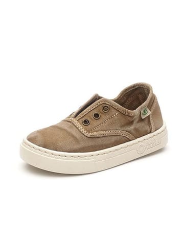 natural world Slipper in Beige