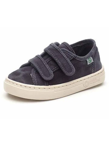 natural world Sneakers in Dunkelblau