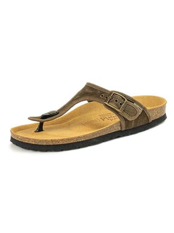 natural world Japonki w kolorze khaki