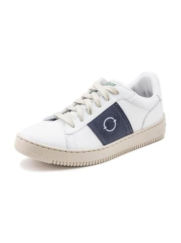 natural world Sneakersy w kolorze biało-granatowym