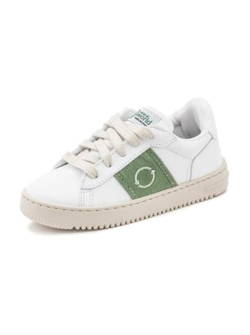 natural world Sneakersy w kolorze biało-zielonym