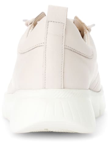 Gabor Leder-Sneakers in Creme