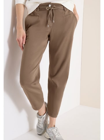Cecil Broek camel