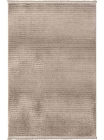 Mioli Kurzflor-Teppich ''Vetrina'' in Beige