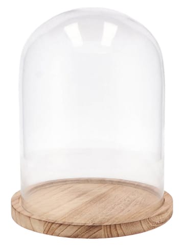 daan kromhout Glasglocke in Transparent/ Hellbraun - (H)30 x Ø 22 cm