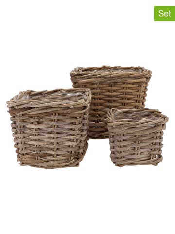 daan kromhout Koszyki (3 szt.) w kolorze jasnobrązowym na rośliny