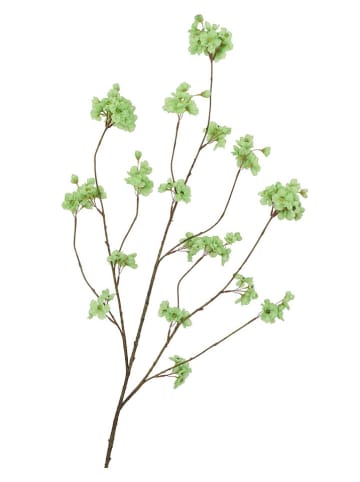 daan kromhout Dekoracyjna gałązka "Cherry Blossom" w kolorze zielonym - wys. 126 cm