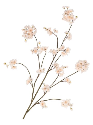 daan kromhout Dekozweig "Cherry Blossom" in Creme - (H)126 cm