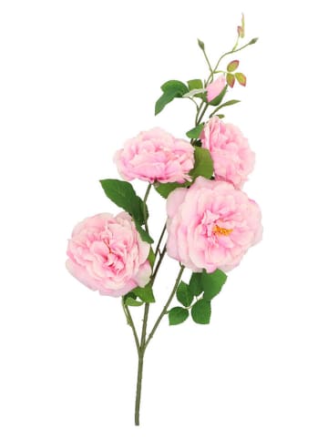 daan kromhout Dekozweig "Wild Rose" in Rosa - (H)116 cm