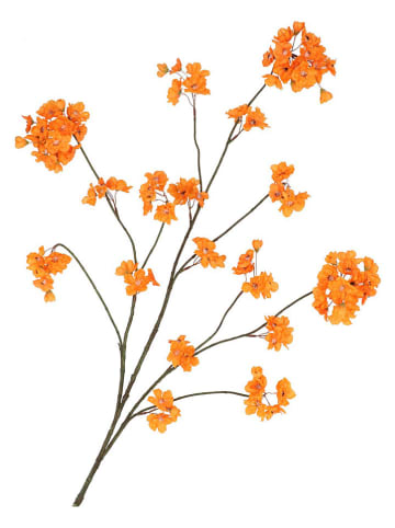 daan kromhout Dekozweig "Cherry Blossom" in Orange - (H)126 cm