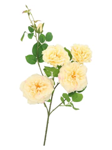 daan kromhout Dekoracyjna gałązka "Wild Rose" w kolorze żółtym - wys. 116 cm