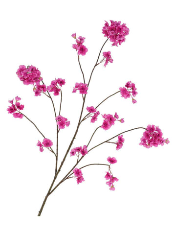 daan kromhout Dekozweig "Cherry" in Lila - (H)126 cm