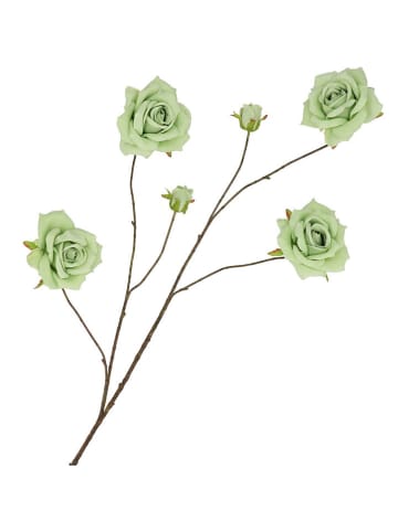 daan kromhout Dekozweig "Roses" in Grün - (H)126 cm