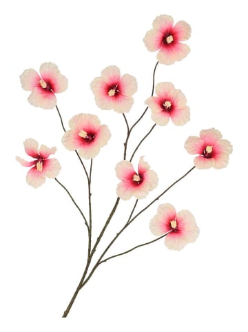 daan kromhout Dekozweig "Hibiskus" in Creme/ Pink - (H)125 cm
