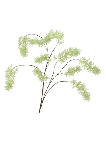 daan kromhout Dekoracyjna gałązka "Wisteria" w kolorze zielonym - wys. 130 cm