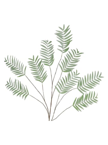 daan kromhout Dekozweig "Palm Leaf" in Grün - (H)150 cm