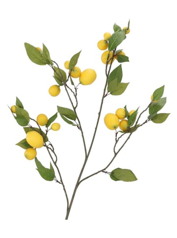 daan kromhout Dekoracyjna gałązka "Lemon" w kolorze złoto-zielonym - wys. 135 cm