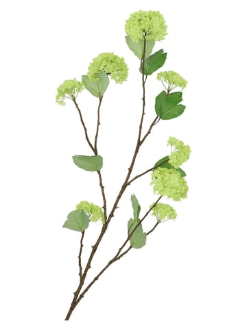 daan kromhout Siertak groen - (H)117 cm