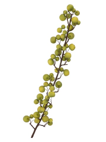 daan kromhout Dekozweig "Apple" in Grün - (H)135 cm