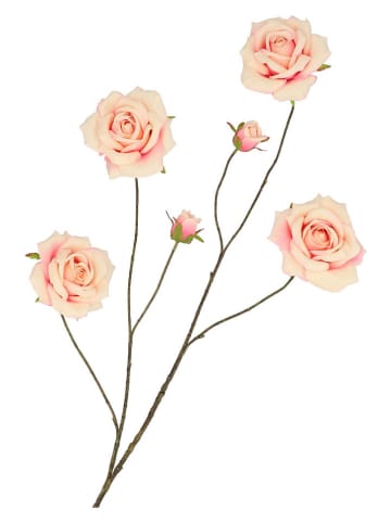 daan kromhout Dekozweig "Wild Roses" in Rosa - (H)126 cm