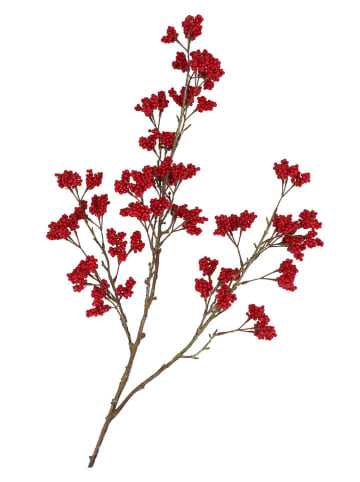 daan kromhout Dekozweig "Berry" in Pink - (H)108 cm