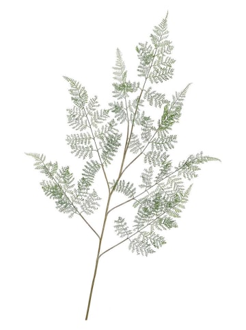 daan kromhout Dekoracyjna gałązka "Snowy Fern" w kolorze zielonym - wys. 137 cm