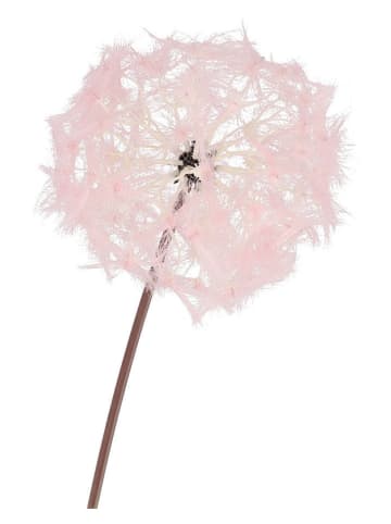 daan kromhout Dekoracyjna gałązka "Dandelion" w kolorze jasnoróżowym - wys. 91 cm