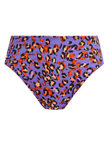 Freya Figi bikini "Santiago nights" w kolorze fioletowym