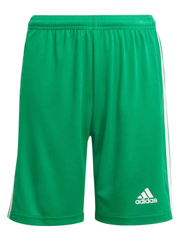 adidas Trainingsshorts "Squadra 21" in Grün