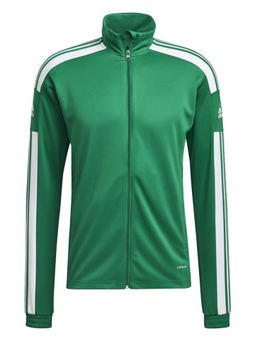 adidas Trainingsjas "Squandra 21" groen