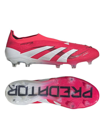 adidas Nocken-Fußballschuhe "Predator Elite FG" in Pink