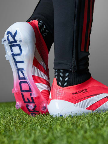 adidas Korki "Predator Elite FG" w kolorze różowym