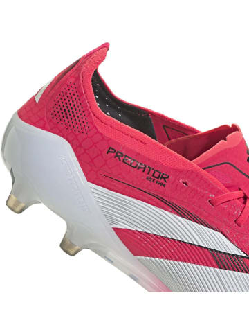 adidas Voetbalschoenen met noppen "Predator Elite AG" roze