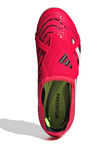 adidas Voetbalschoenen met noppen "Predator Elite SG" roze